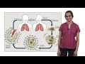 Lalita Ramakrishnan (Cambridge) 1: Tuberculosis: The Pathogenic Personality of the Tubercle bacillus