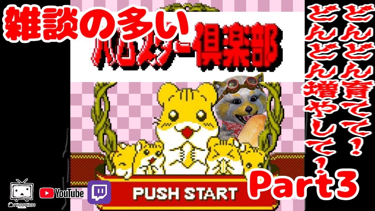 初見] ハムスター倶楽部 [EDは見えた！ただ近づけませんw]③ - YouTube