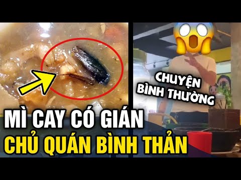 mì cay quận 3 New Update Khách phát hiện tô mỳ cay 'CÓ GIÁN', chủ quán trả lời 'VÔ TRÁCH NHIỆM' gây phẫn nộ | Tin 3 Phút