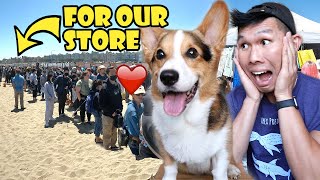 Thousands Came to Our Pop-Up Shop at Corgi Con! || Life After College: Ep. 739 by VlogAfterCollege 107,148 views 1 year ago 16 minutes