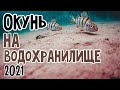 Окунь Зимой 2021...Едем на Ириклинское Водохранилище... Зимняя Рыбалка На Мормышку...