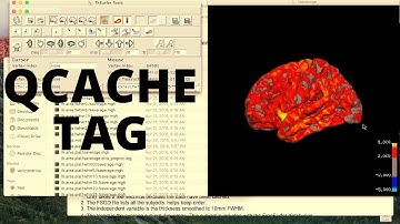 [FreeSurfer] Qcache Command