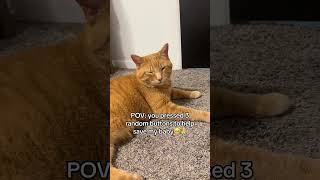link in my bio where help and hope meet for Oliver