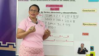 11   Teleclases   Matemática 3er Grado   Forma desarrollada de números de cifras   18 y 19 de Febrer