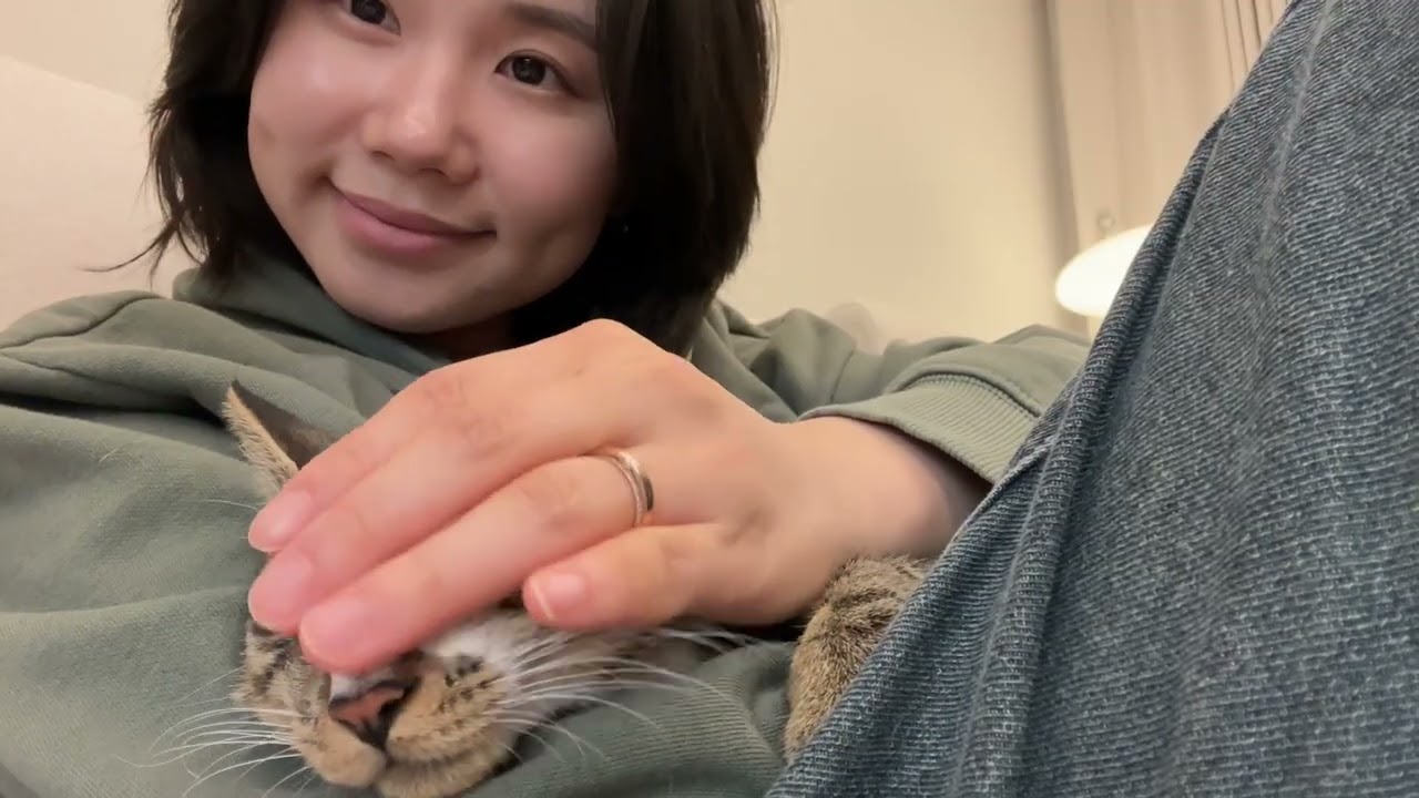 하루종일 봐도 질리지 않는 우리 고양이 새끼 영상 모음