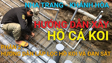 HỒ CÁ KOI NHA TRANG KHÁNH HÒA | PHẦN 2: HƯỚNG DẪN XÂY HỒ CÁ KOI VÀ LẮP LỌC HỒ KOI #hocakoi