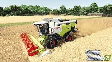 FS25 | Beautiful Wheat-harvest | Claas Evion 450 | ReShade Gameplay |