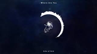 Echo of Void - Where Are You