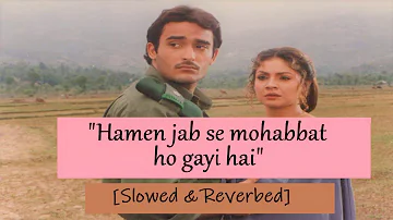 Hamen Jab Se Mohabbat Ho Gayi Hai - Slowed & Reverb | Sonu Nigam & Alka Yagnik | Border