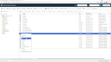 Editar el archivo wp-config.php con el File Manager de cPanel