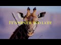 Elton John - Never Too Late (lyrics) #2 Elton John - Never Too Late (lyrics) #2