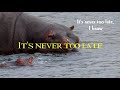 Elton John - Never Too Late (lyrics) #3 Elton John - Never Too Late (lyrics) #2