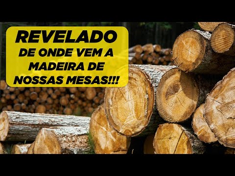 DE ONDE VEM A NOSSA MADEIRA MACIÇA? - [Madeirado Oficial] - YouTube