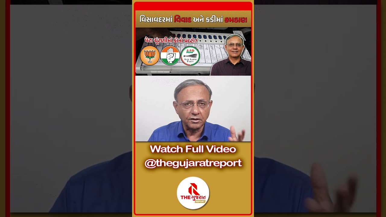 VISAVADAR KADI ELECTION કોનું પલ્લુ ભારે | BJP vs Congress vs AAP | Gujarat Politics