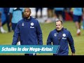 Schalke in der Krise: Baum ist nicht der Alleinschuldige!