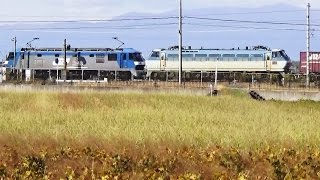 EF210-138＋ムドEF66-128　5085レ　2015.11.05　琵琶湖線