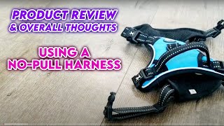 PoyPet No-Pull Harness Review & Overall Thoughts on Using a Harness