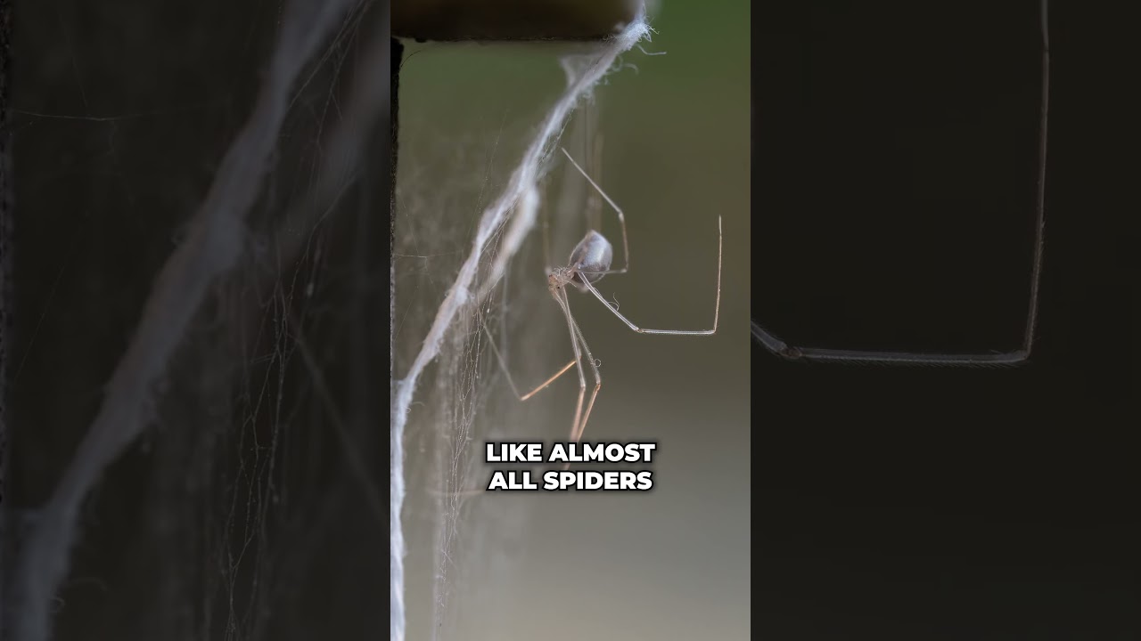 Лучший способ снять стресс во время секса с друзьями