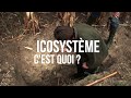 Icosysteme  nicolas girardin scop agroof