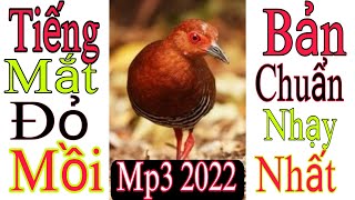Tiếng Mắt Đỏ Kêu || Tiếng Chuẩn Kích Mồi Cực M.áu Cho a.e Đi Bẫy