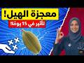 تحدي الـ 15 يوما ماذا يحدث لجسمك عند تناول حبتين هيل يوميا فوائد مذهلة لم تكن تعرفها د رهف mp3