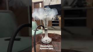 Steamulation Xpansion Mini Shisha