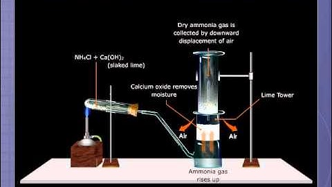 Preparation of Ammonia
