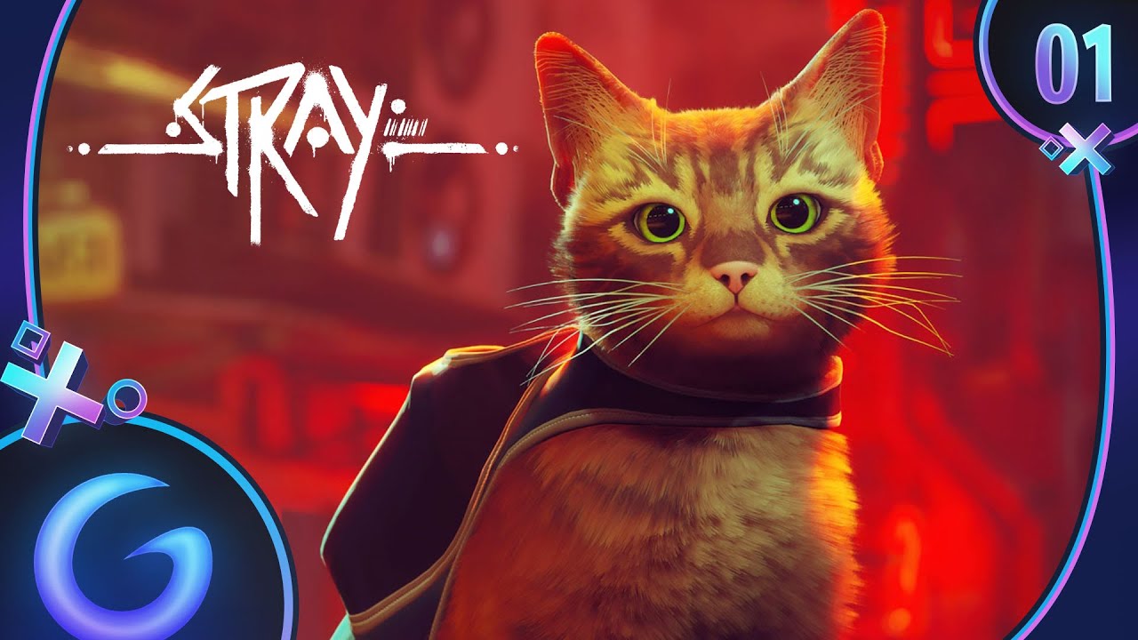 video Stray (PS5, PS4, Xbox, Switch, PC)
