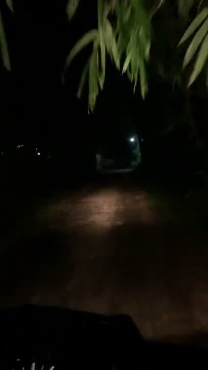 Naik motor malam hari di tengah hutan (3)