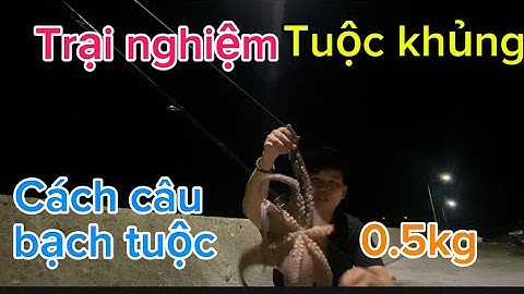 Cách câu bạch tuộc đơn giản nhất mà ai cũng làm được#caucasus #cuocsongnhat #cauca