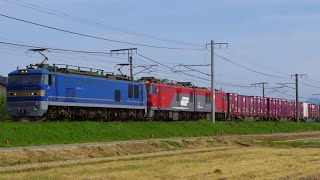 EF510 515牽引 3093レ(EH500 46ムド)@2023.5.12