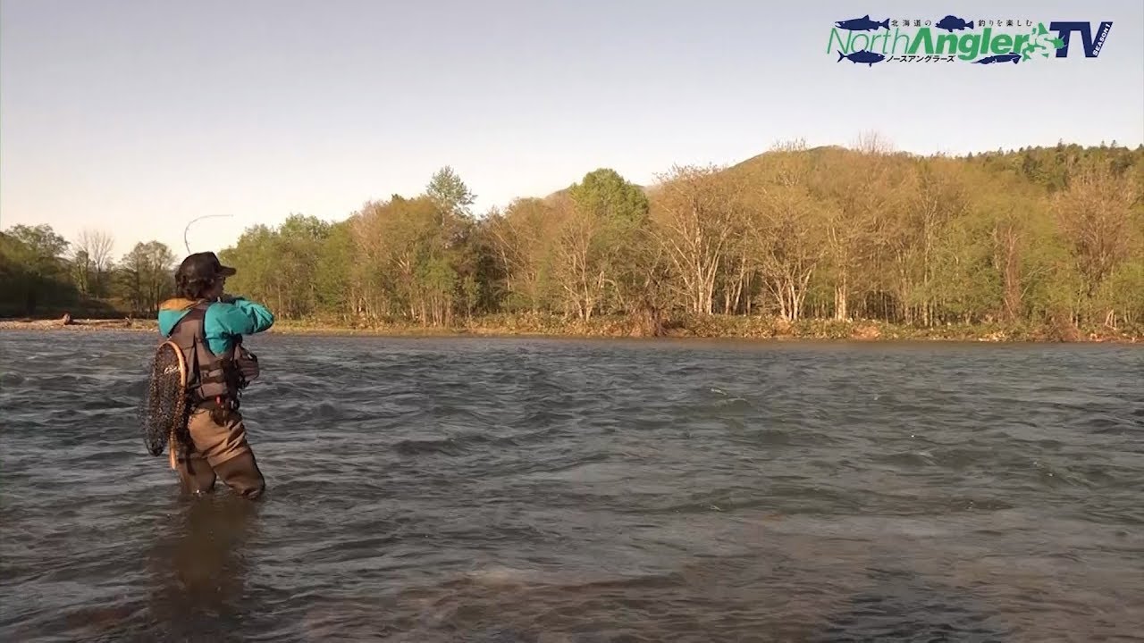 道北ダム湖のトラウト