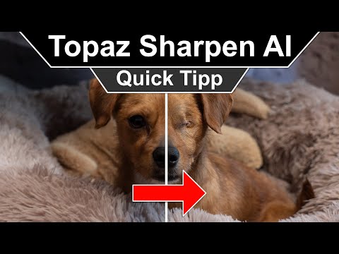 #14 Quick Tipp I Topaz Sharpen AI 2022