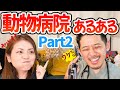 犬猫の飼い主さん必見！動物病院獣医師あるある【Part2】