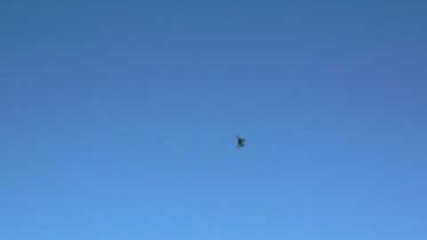 F 16 scratch built by Eric Miller