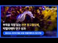 천연 항고혈압 효과, 빅벨리해마로 개발된 혁신적 조성물 (빅벨리해마, 항고혈압, 항산화 효과, 천연 자원, 심혈관 질환, 활성산소 제거, 안지오텐신 전환효소 억제)