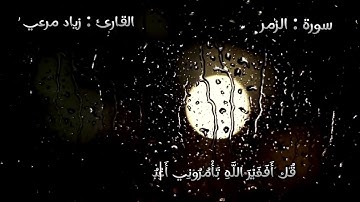 قل أفغير الله تأمروني أعبد أيها الجاهلون.     سورة الزمر