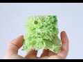 Мох бисквитный / Sponge moss