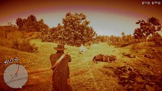 Red Dead Redemption 2_20191011091517