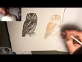 Science & Art Workshop #2: Bryce Robinson / Scientific Illustration