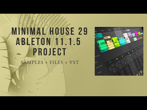Minimal House 29