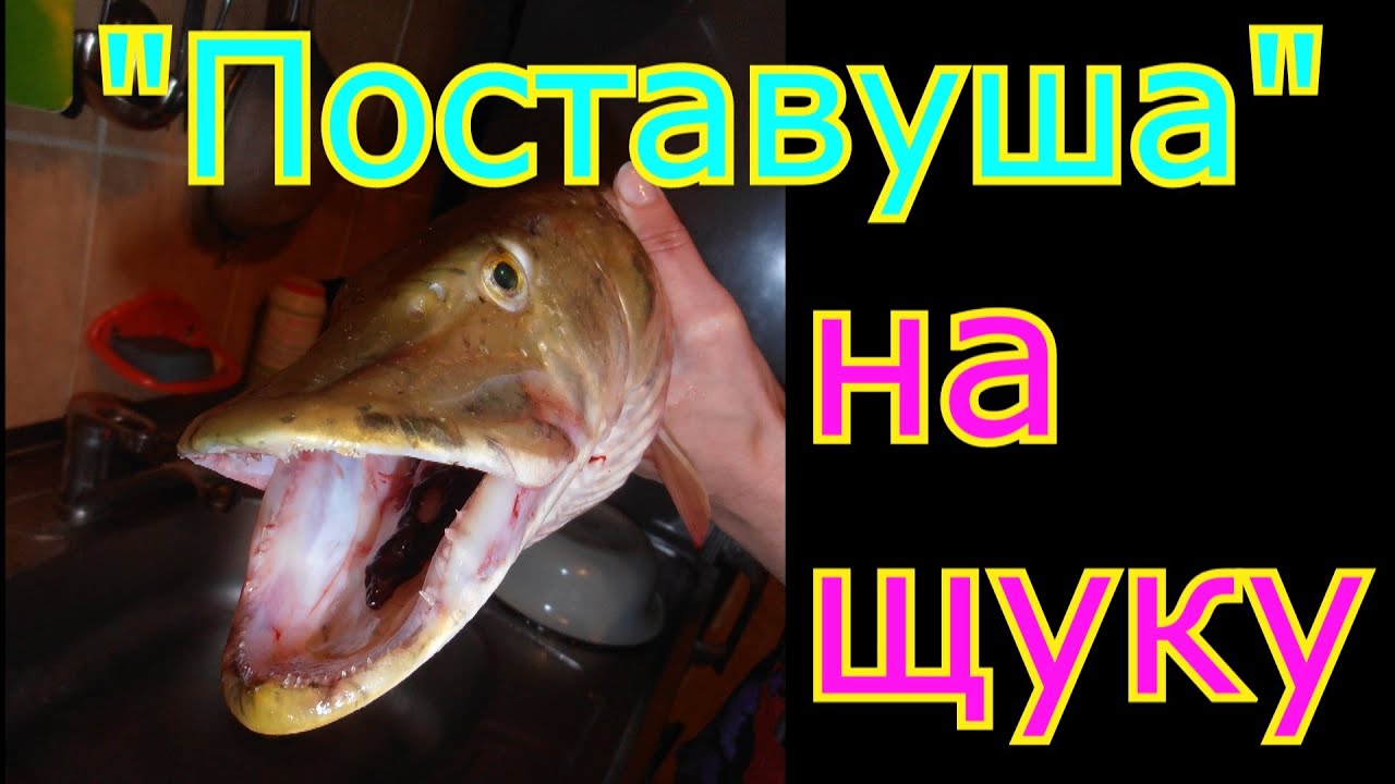 Как сделать и забросить снасть &quot;Поставуша&quot; для ловли щуки и окуня.My fishing.