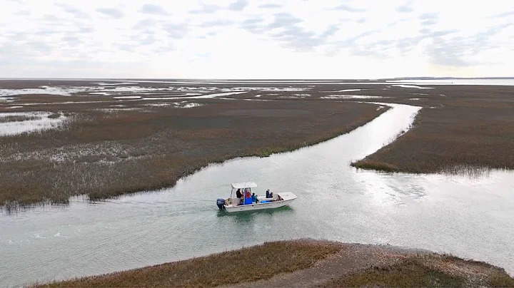 Land Meets Sea: Eastern Shore of Virginia