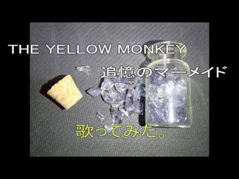 #THE YELLOW MONKEY #イエモン　#追憶のマーメイド　#歌ってみた。 #カラオケLive #本人ズ