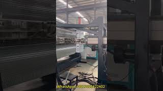 PE Waterproof Drainage Sheet Plastic Making Machine  #plasticmachine #drainageboard #chinaplas