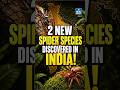 2 New Spider Species Found in India | Hidden Creatures in Desert &amp; Cities! | NEXT IAS