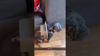 I Think I Get A Little Fat