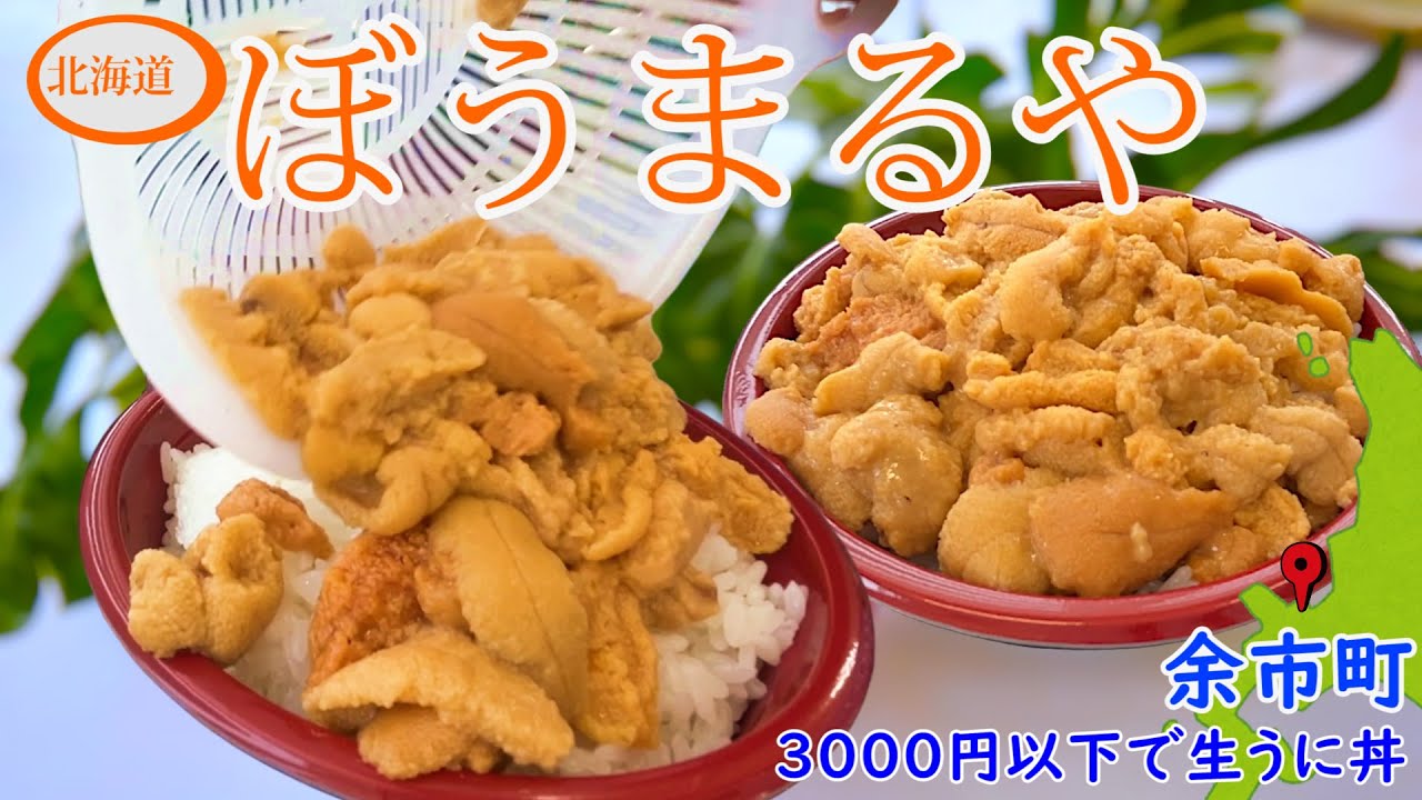 余市町ぼうまるやさんで、激安・激うまの生うに丼が登場。この時期だけうに丼が食べれます