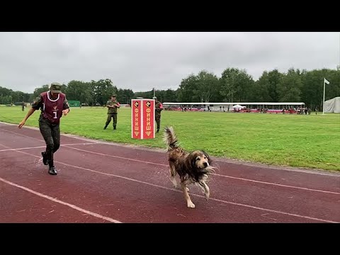 Всеармейский этап конкурса «Верный друг» проходит в Подмосковье