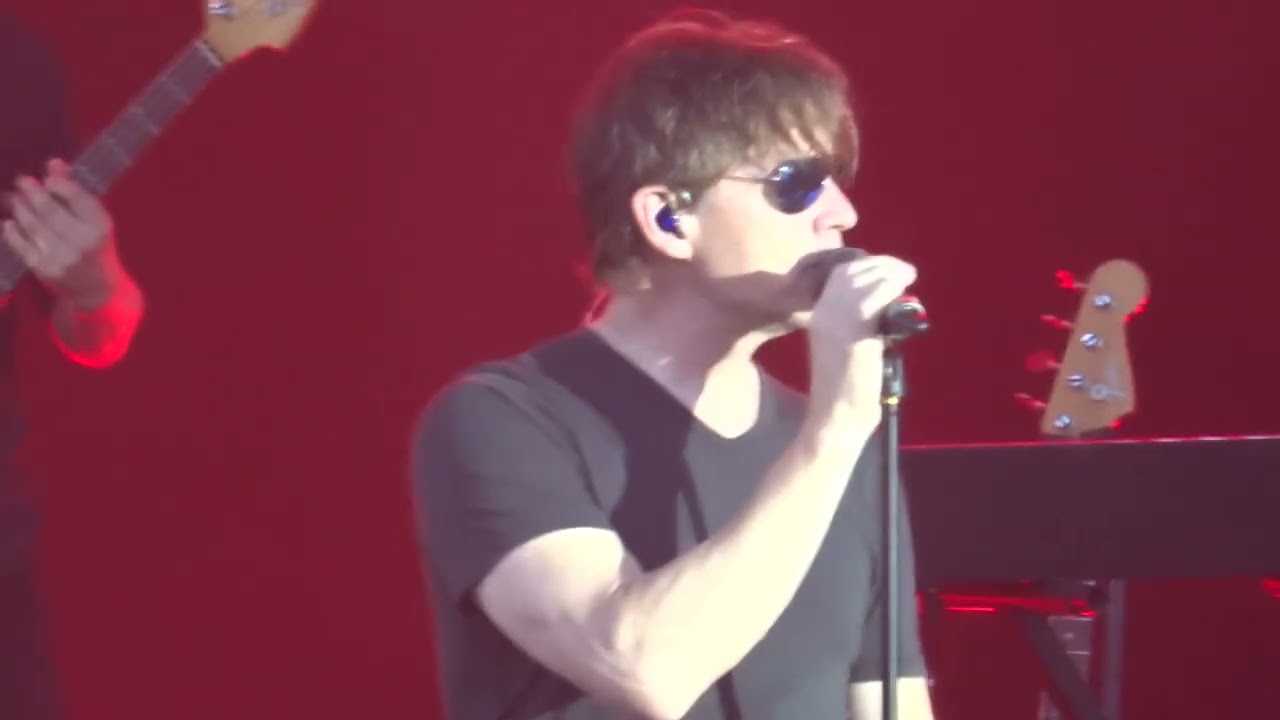 A-ha Live Nice Sycamore Leaves